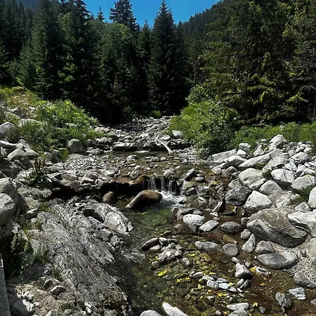 Pirin Getaway Heaven Διαμέρισμα